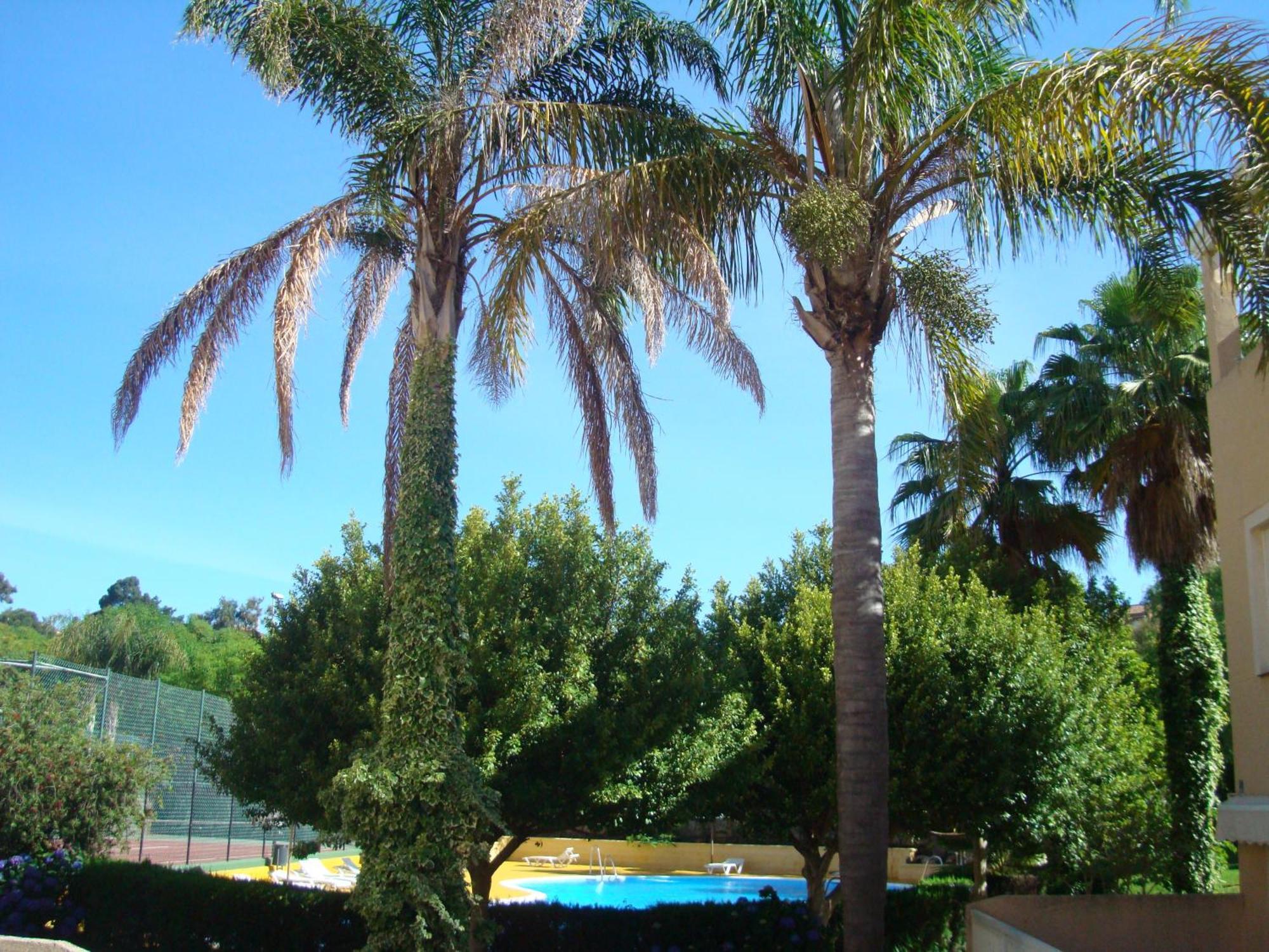 Islantur Ipanema Appartement Islantilla Buitenkant foto